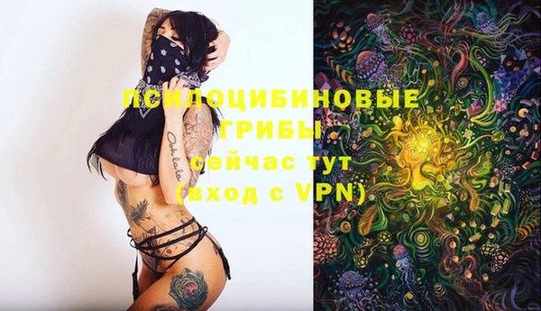 скорость Анива