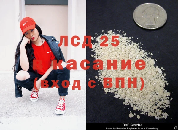 PSILOCYBIN Новокубанск