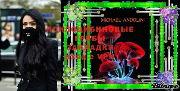 амф Новодвинск