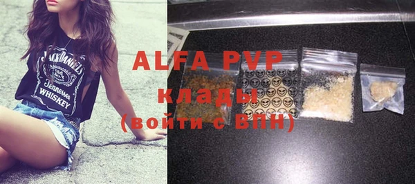 амф Новодвинск