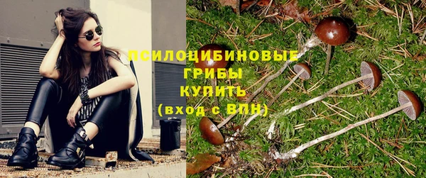 PSILOCYBIN Новокубанск