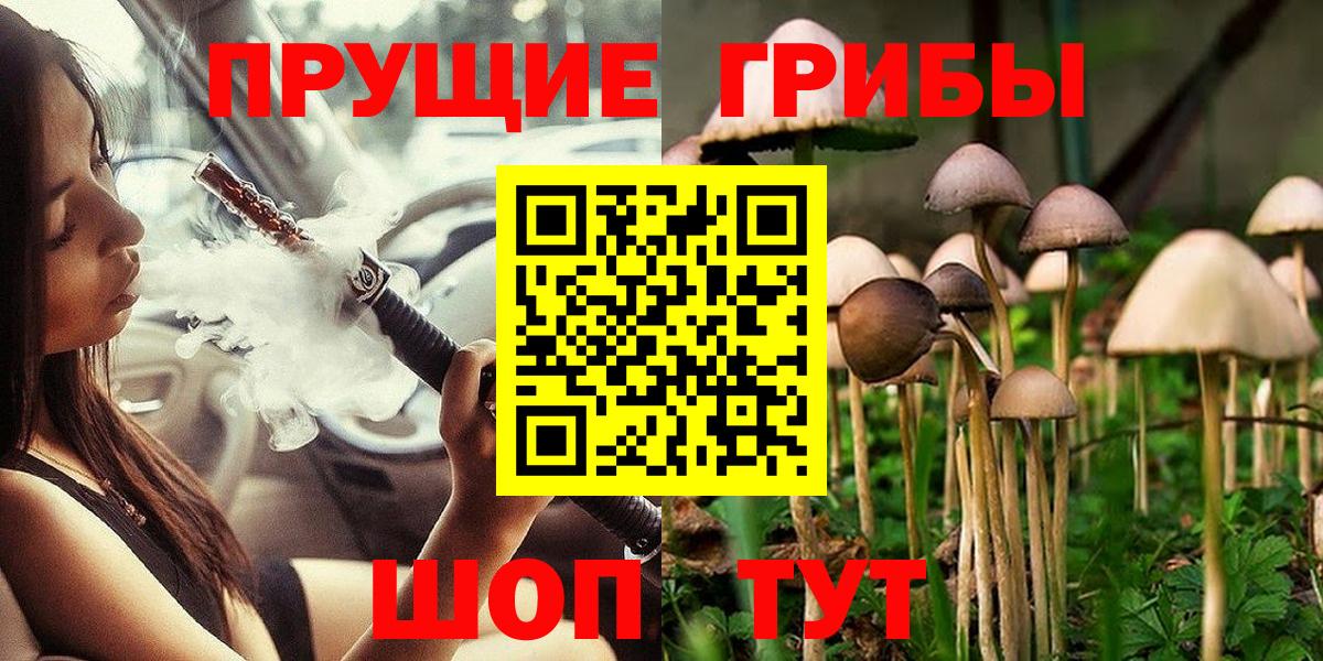 Южно-Сахалинск  Псилоцибиновые грибы мицелий  Вход с VPN 